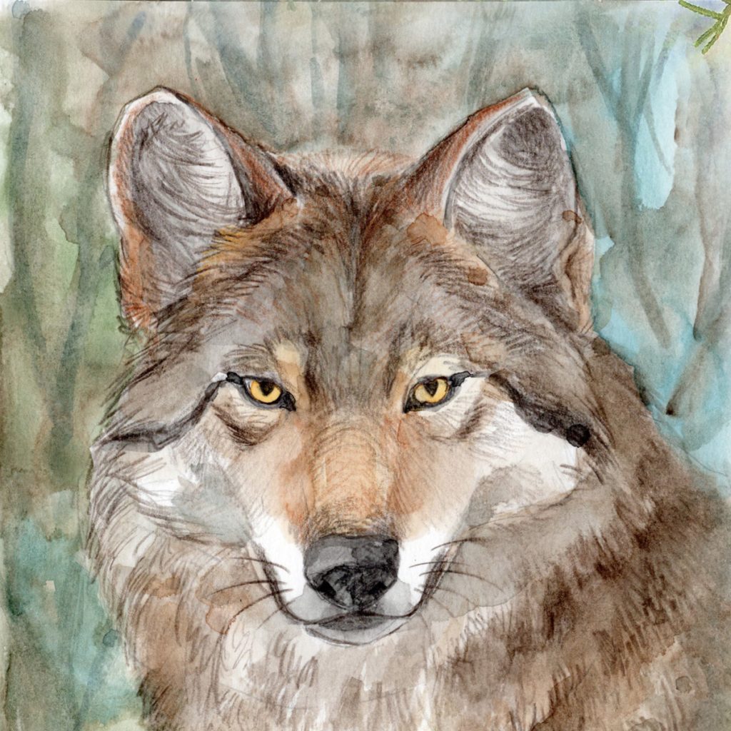 PRINT "Forest Spirit"