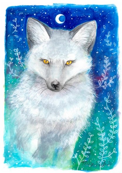 PRINT A5 "Arctic fox"